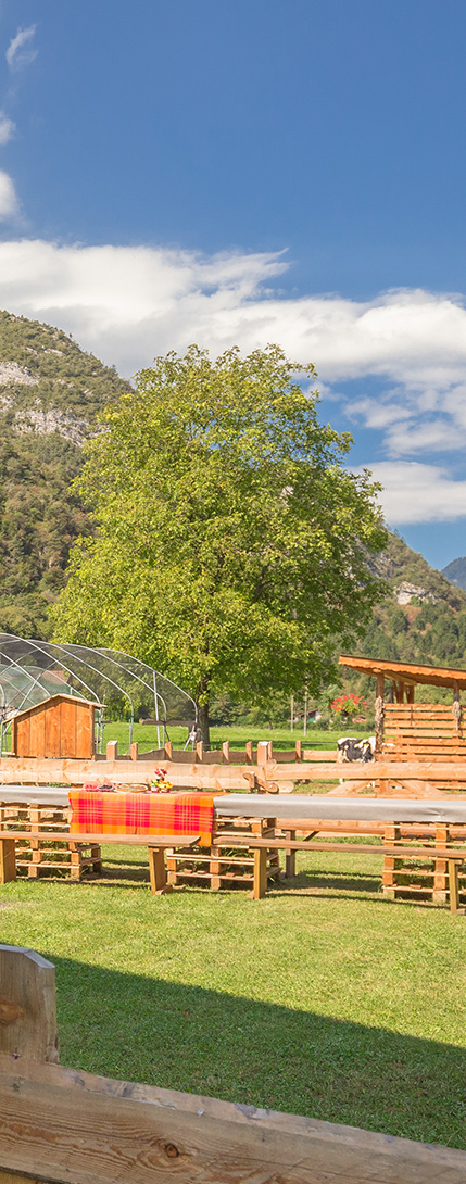 B&B Fattoria della Patty, camere con giardino e terrazza panoramica in Val di Ledro in Trentino
