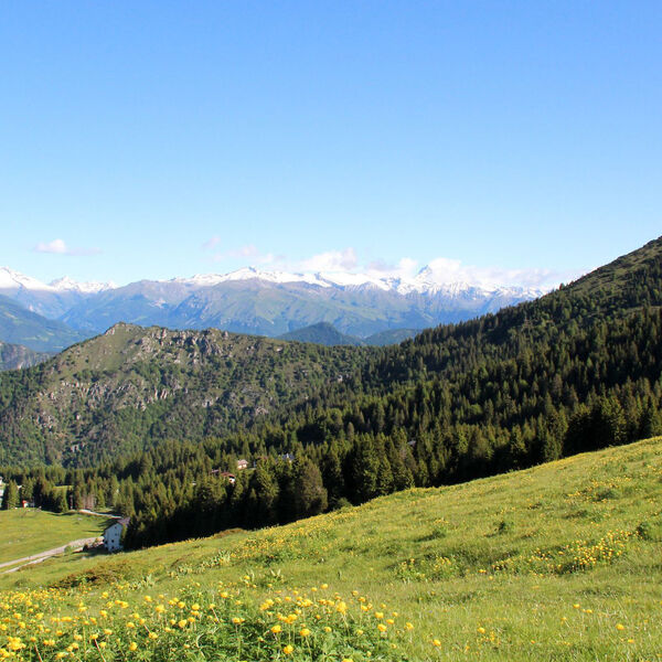 Excursions on Lake Ledro: Between trekking, biking and nature