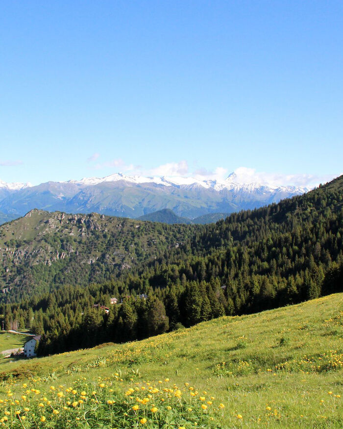 Exkursionen am Ledrosee: Zwischen Trekking, Mtb und Natur