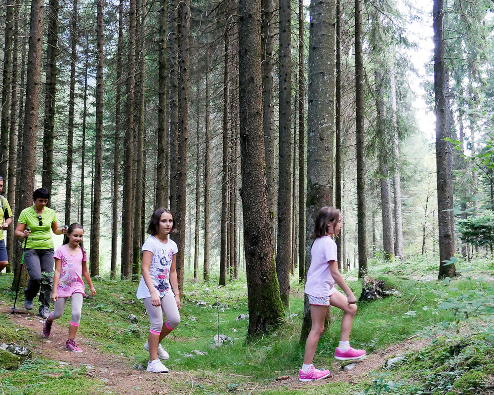 Visit Ledro with your family - Children stay for free!