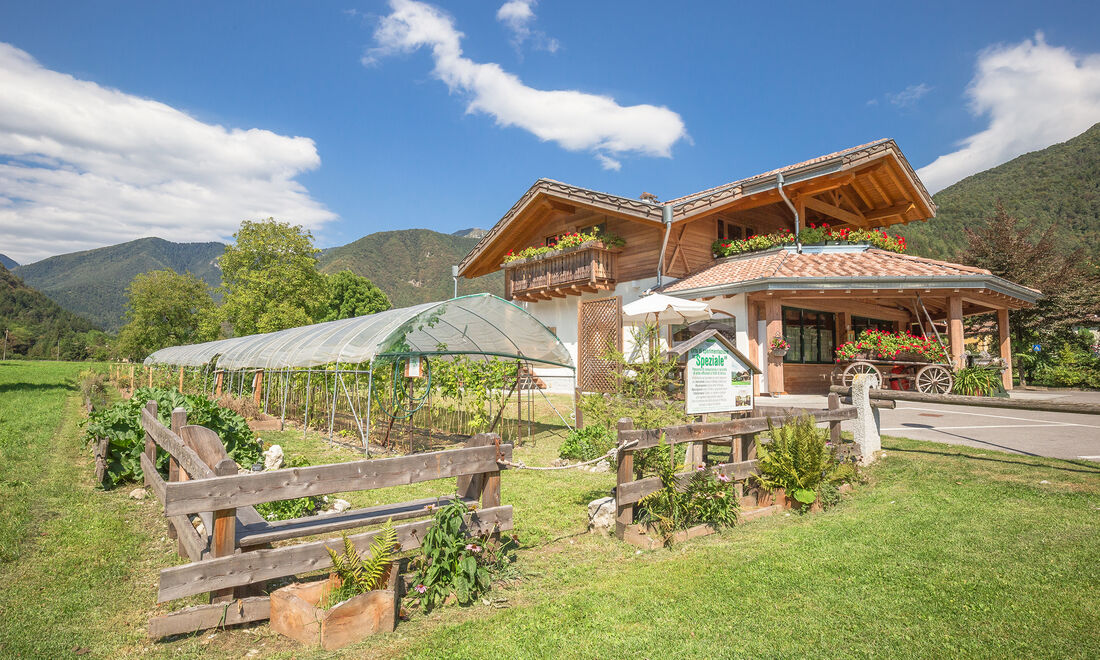 B&B fattoria della Patty