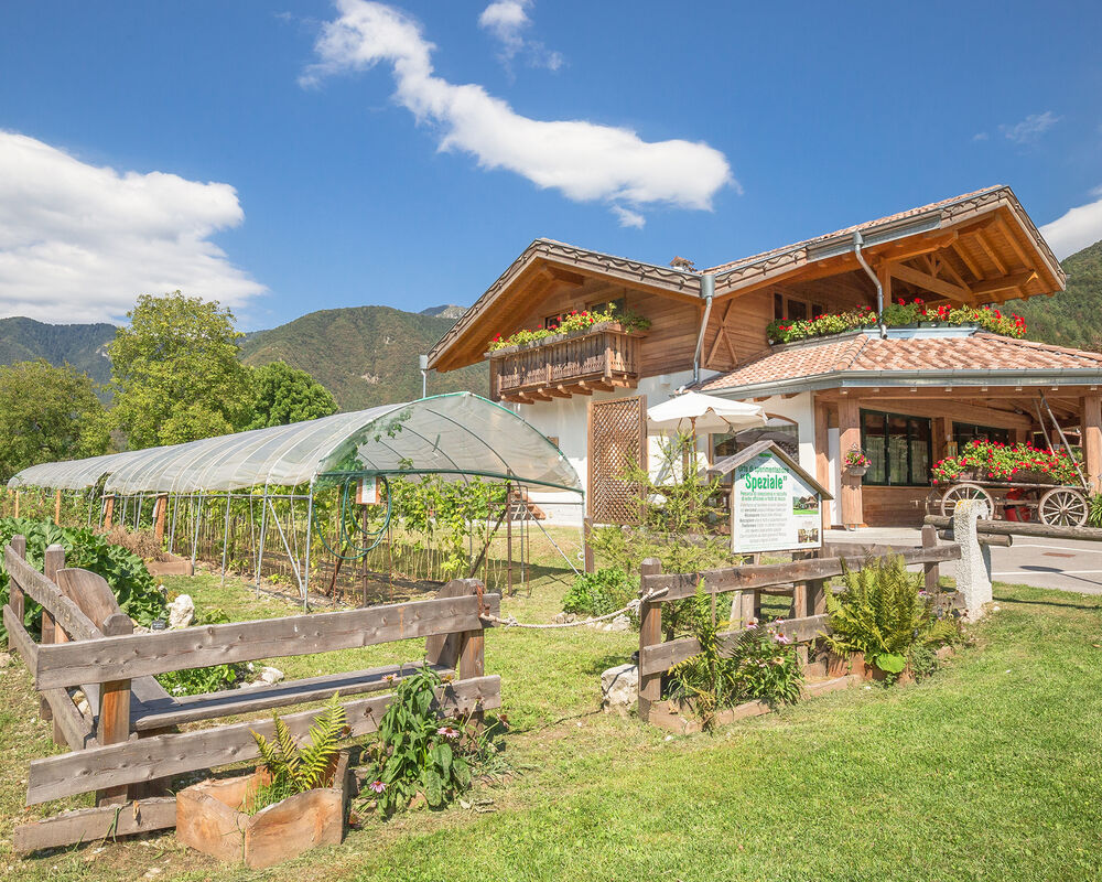 Crosina Holiday - apartment near Lake Ledro in Trentino for a family or family holiday Welcome to  B&B Fattoria della Patty